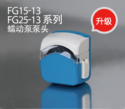 FG15-13泵头升级